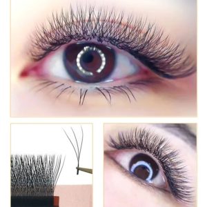 Eyelash W